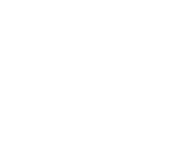 Anyone's Legend logo