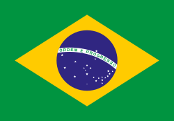 Team Brazil logo