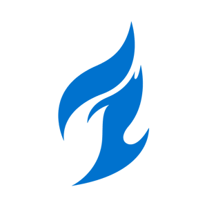 Dallas Fuel logo