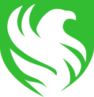 Team Falcons logo