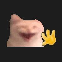 XD wavefy logo