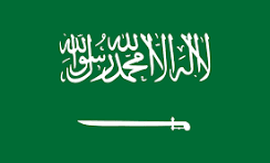 Team Saudi Arabia logo